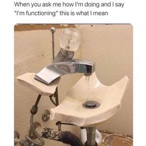 Meet your Posher, Cody